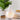 Bliss Opal - Ultrasonic Essential Oil Diffuser
