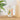 Cedar Citrus - Reed Diffuser Solution Refill, 8oz