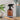 Cool Peppermint - Therapy Essential Oil Room Spray