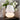 Brilliance Essential Oil Diffuser Lamp