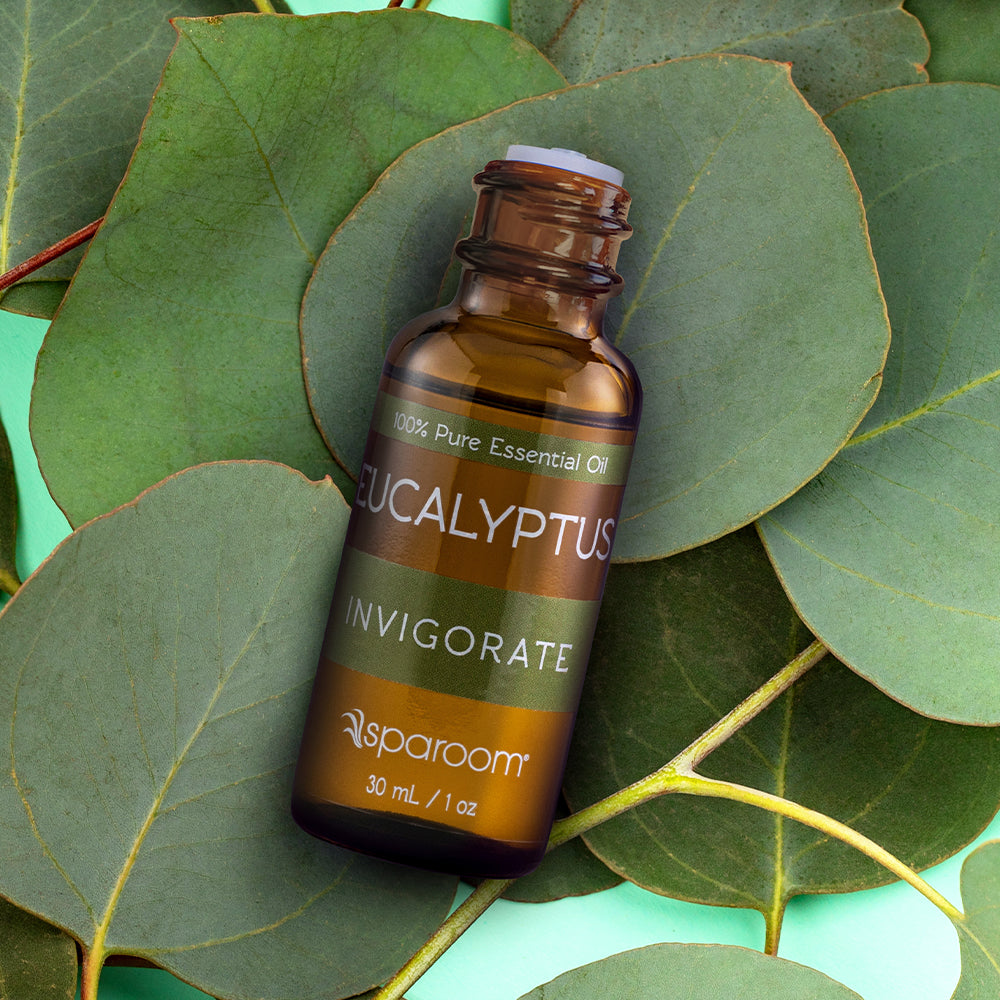 Eucalyptus - 100% Pure Essential Oil - 30mL