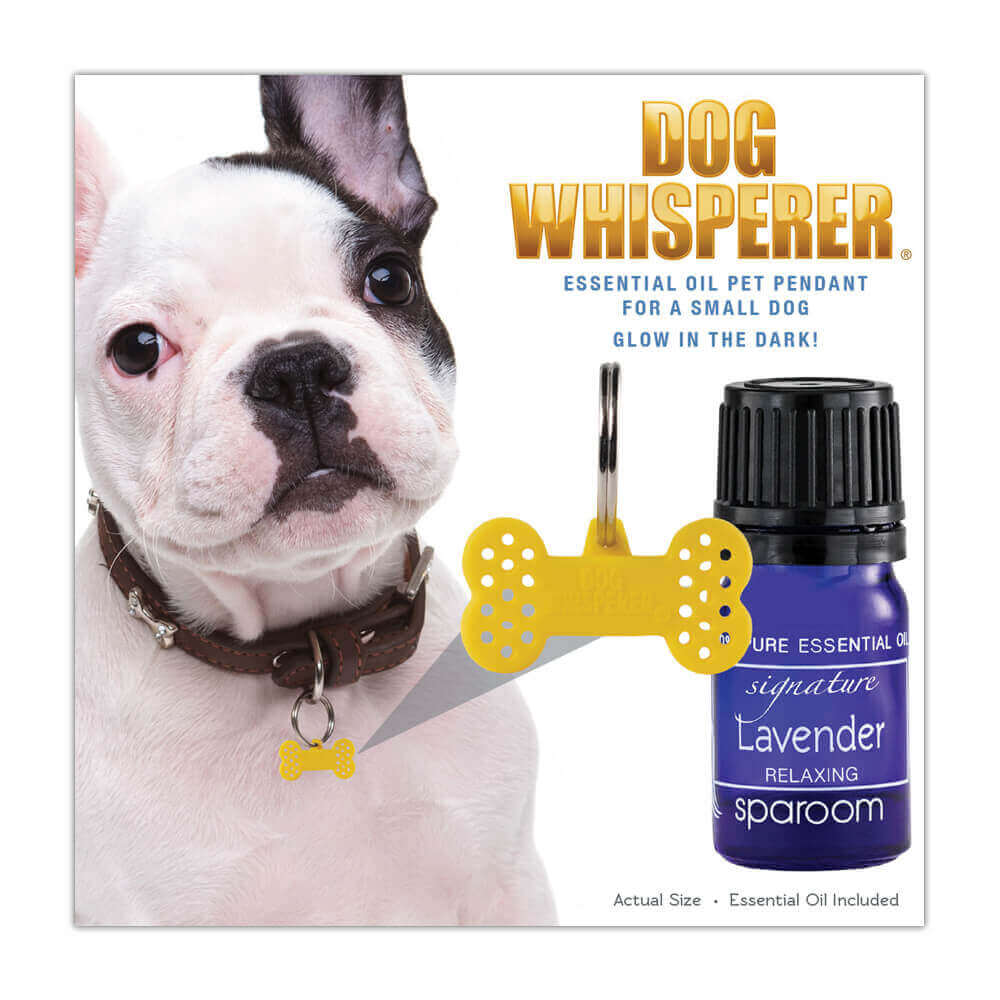 Dog Whisperer Small Collar Pet Diffuser Pendant + Essential Oil
